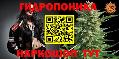 прущие грибы Бугуруслан