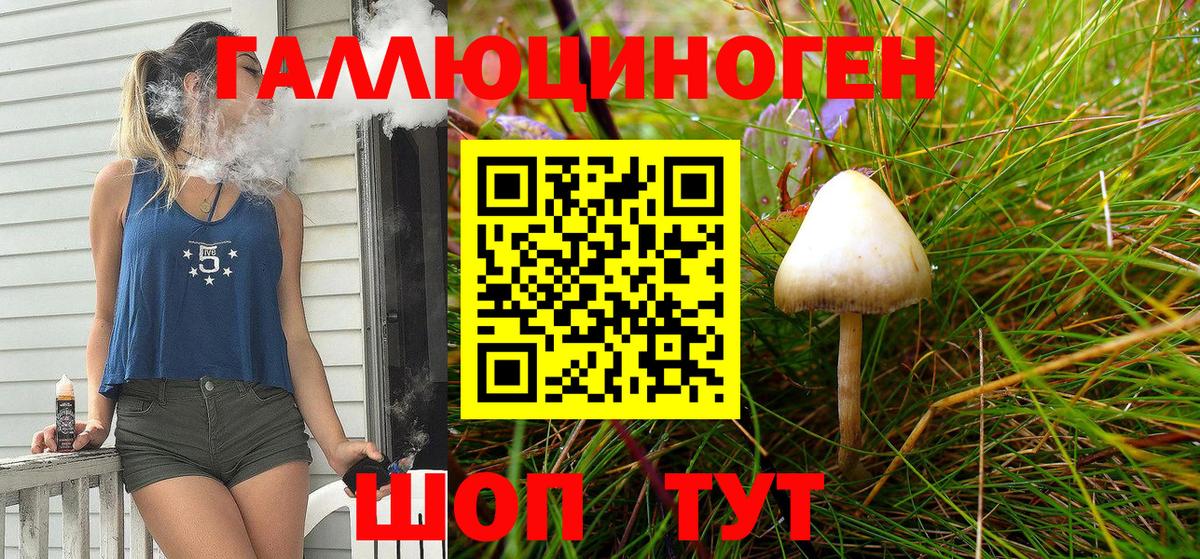 Советский  Псилоцибиновые грибы MAGIC MUSHROOMS  Псилоцибиновые грибы Psilocybine cubensis  где продают   Вход с VPN 